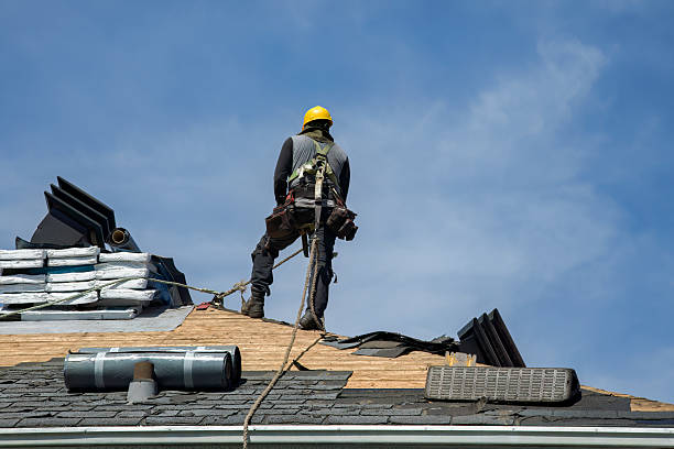 Professional Roofing technician working in Camp Grove, IL